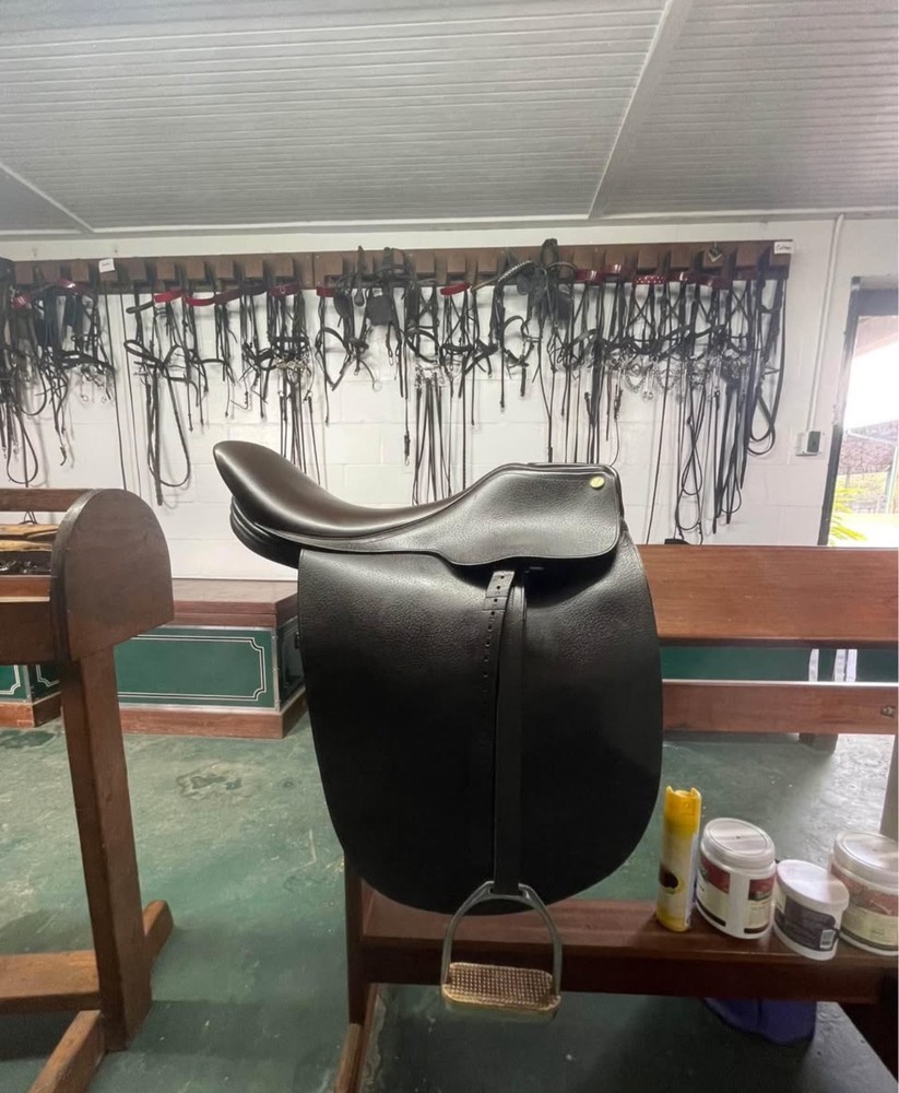 saddleseat saddle