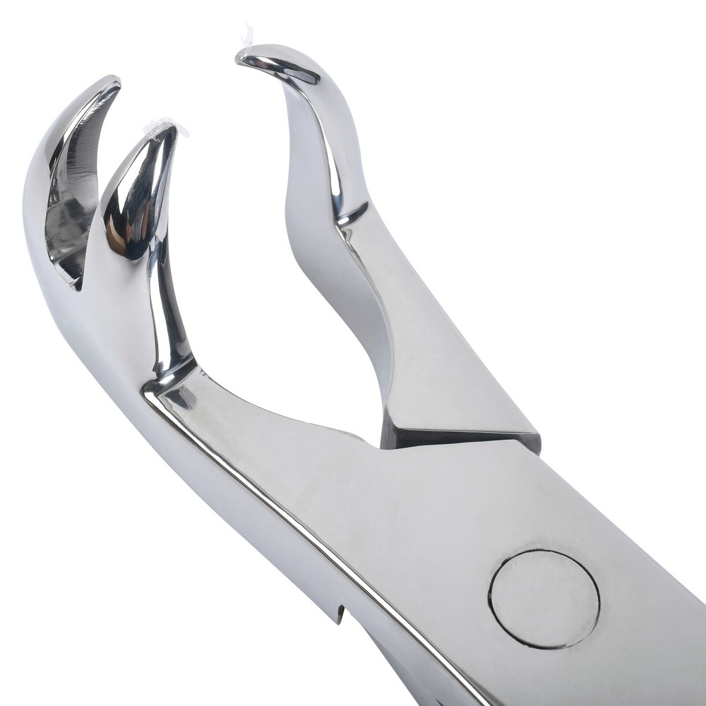 3 PRONG ROOT MOLAR FORCEPS ONSIDE 19"