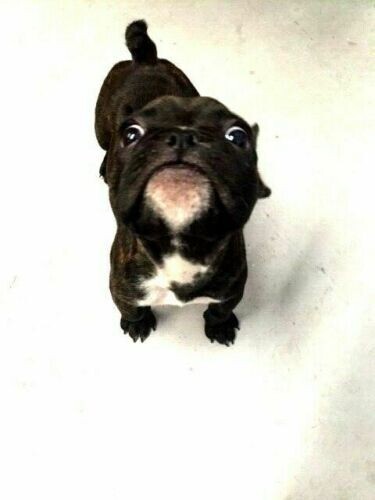 Gearwrench Punch and Chisel set