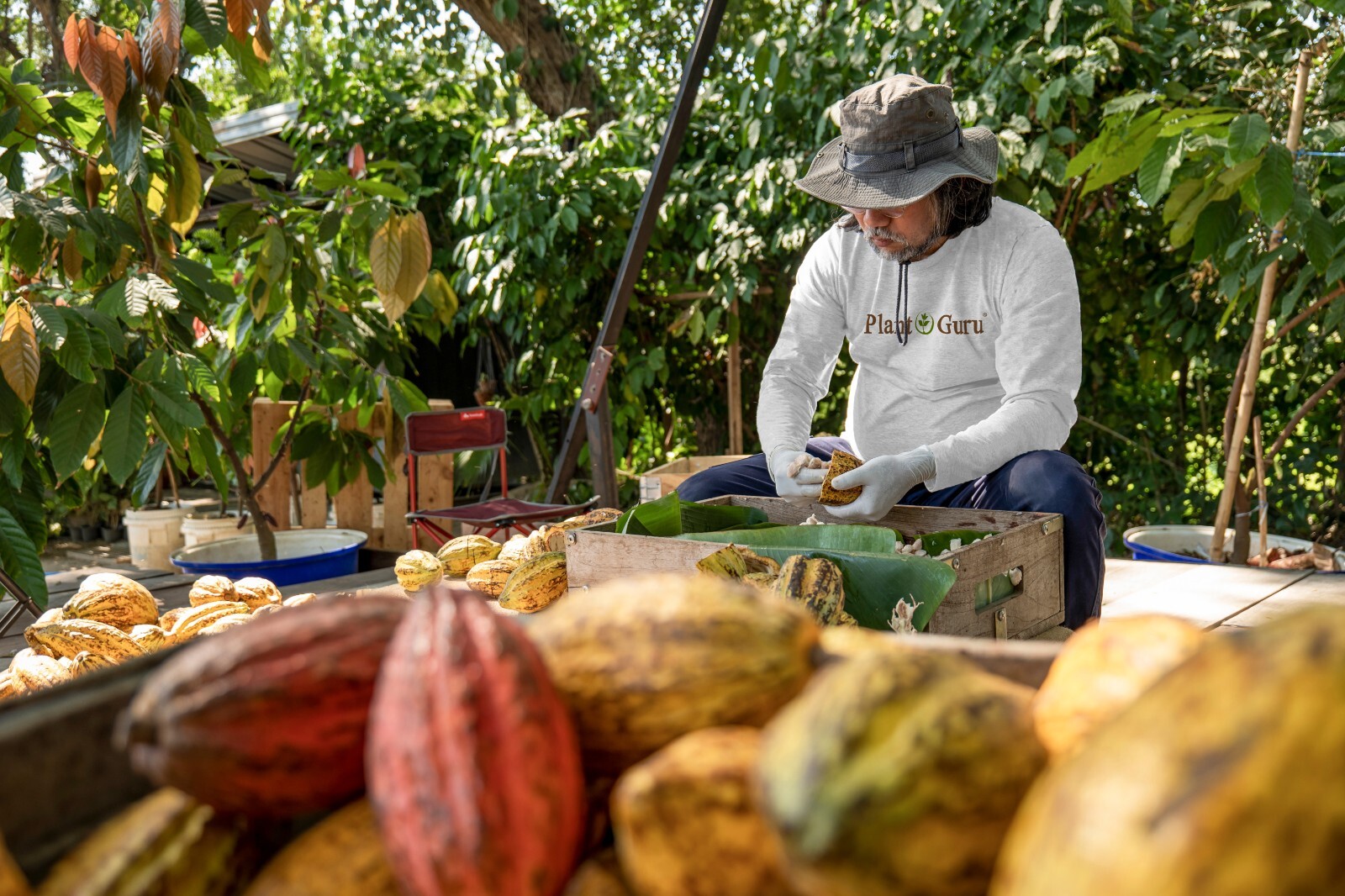 Raw Cacao / Cocoa Nibs 100% Raw Chocolate Arriba Nacional Bean 1 oz to 25 lb