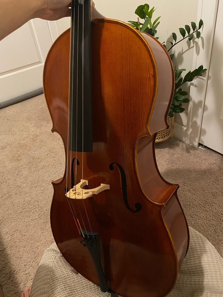 cello 4/4 fullsize strings  