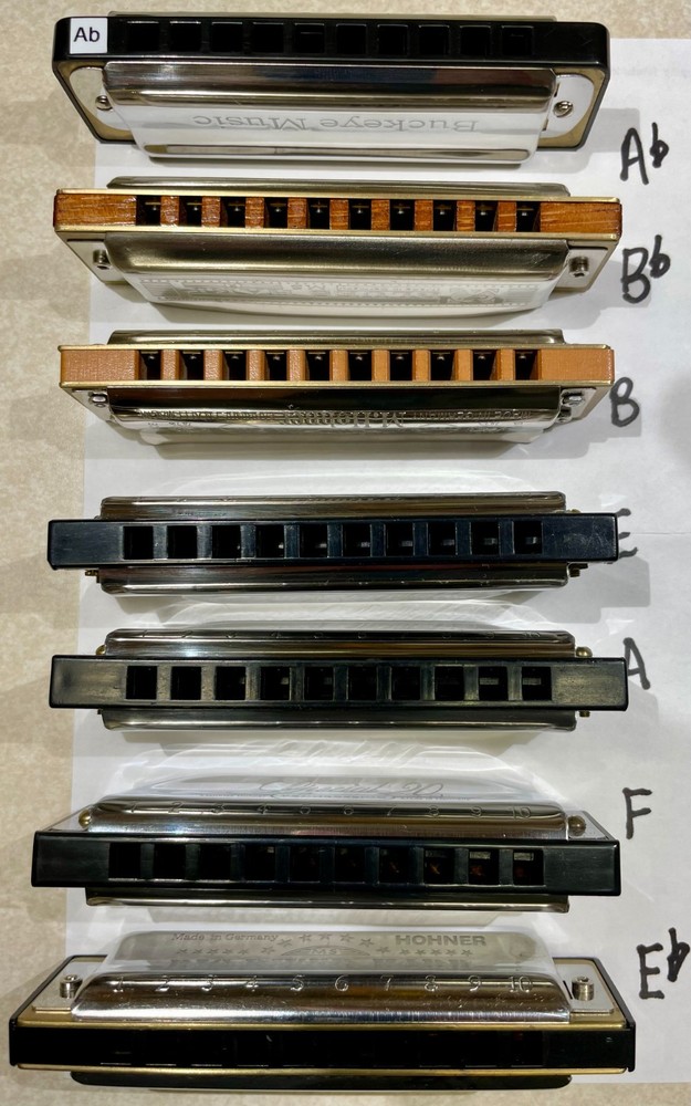 Harmonica Hohner Paddy Richter tuned, various keys