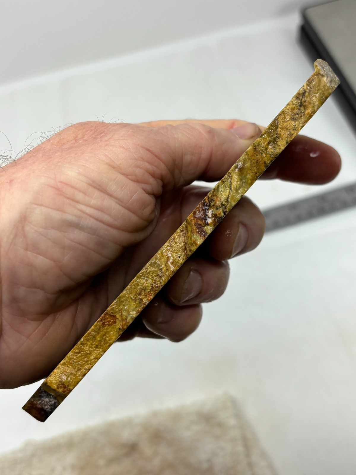 Gary Green Caldera Freedom Jasper Slab Cabbing Lapidary Combo Ship Avail