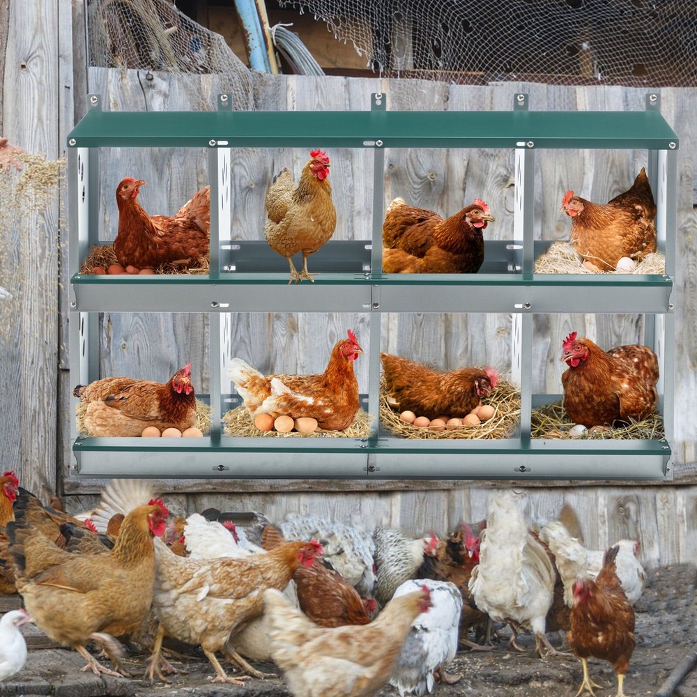 3/ 8 Compartment Chicken Nesting Boxes,For Laying Eggs, Metal Poultry Nest Box