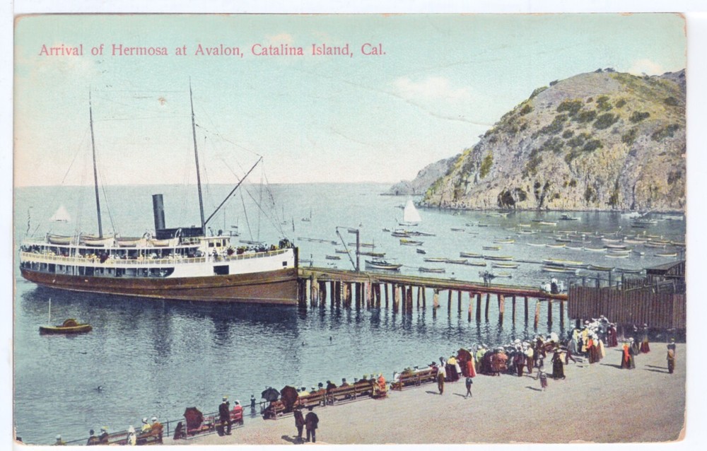 SANTA CATALINA ISLAND - PC3394
