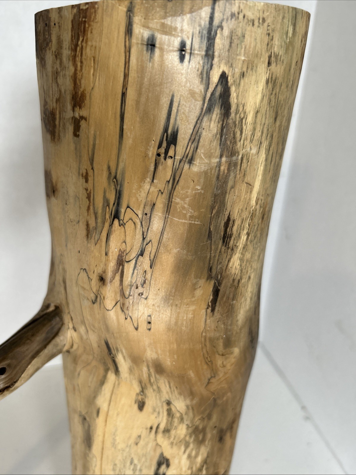 Driftwood¡ 2 Piece Set Cedar Taxidermy Beach Mountain Wedding 1 White Outside