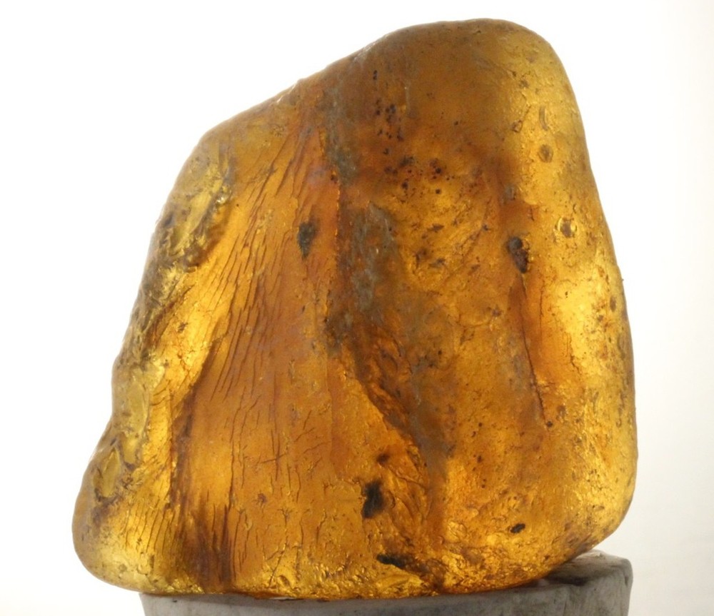 ++ DANDY! Mexican Amber Raw 72g ++