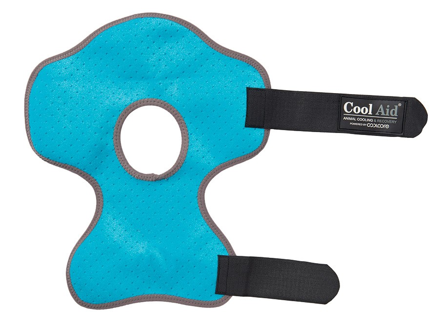 Coolcore Equine Icing and Cooling Hock Wraps