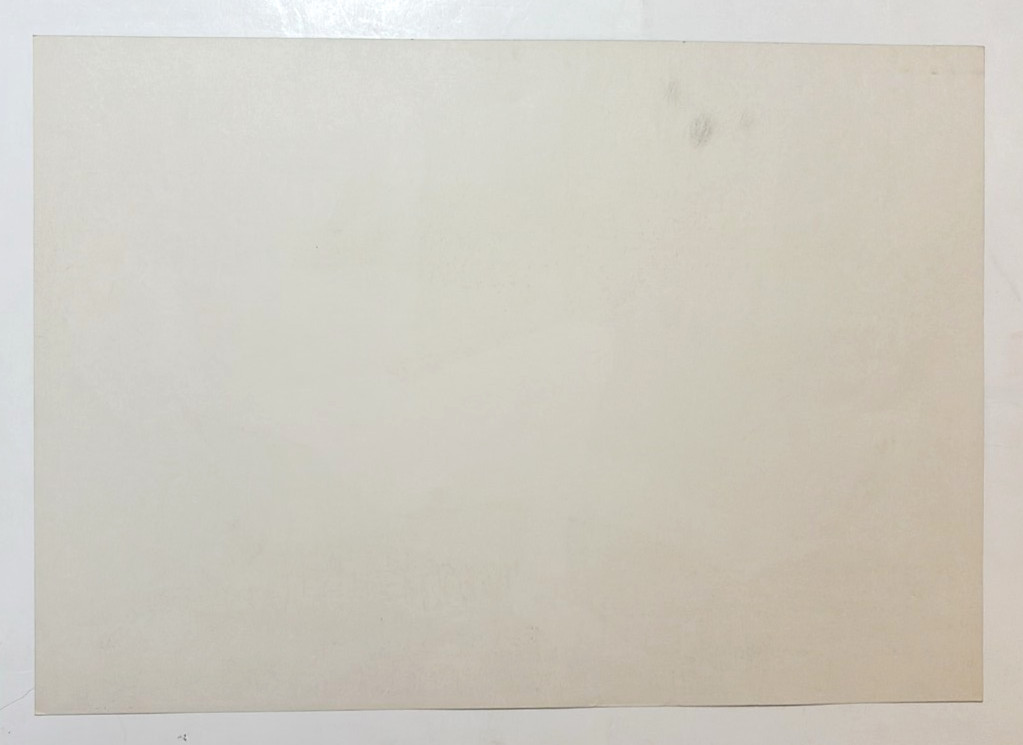 HOWLIN' WOLF STEVE MILLER Original Avalon SF Concert Poster Family Dog FD-127-1