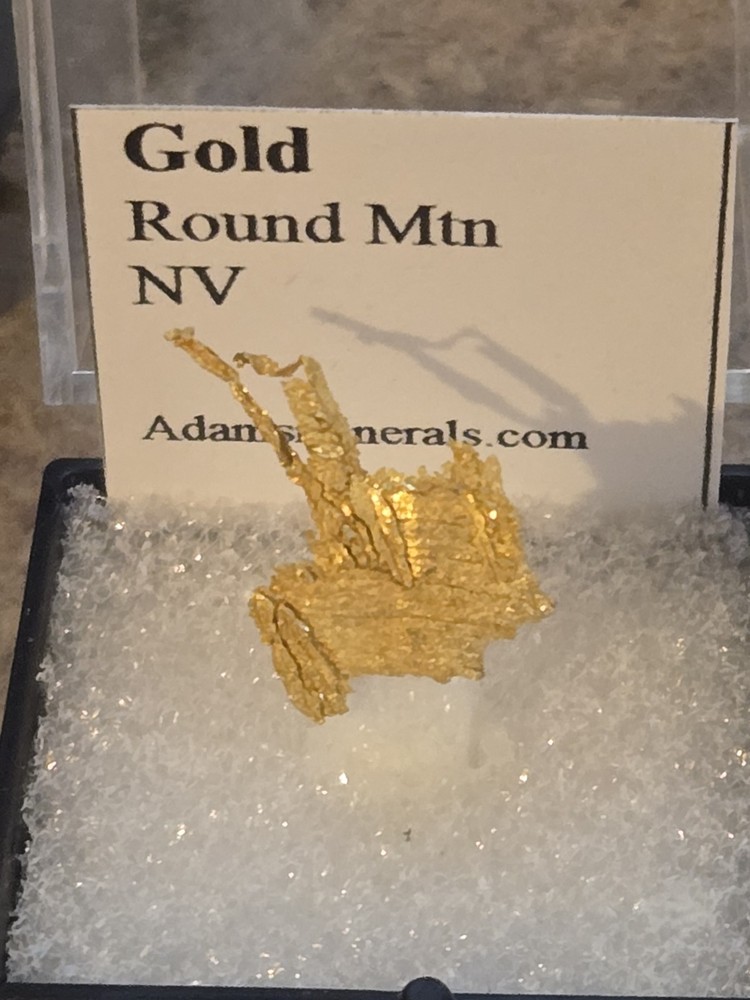 Beautiful Round Mountain Gold specimen