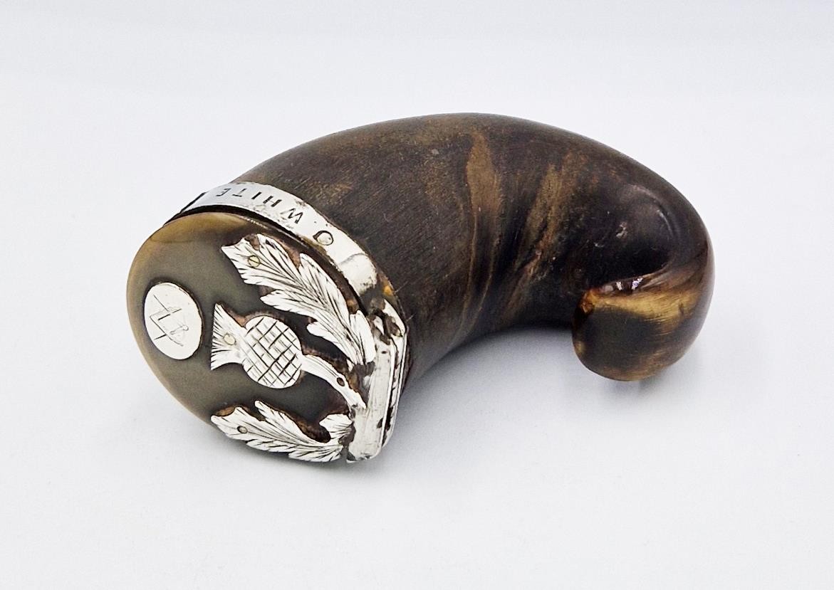 GEORGIAN SCOTTISH SOLID SILVER MOUNTED MASONIC RAMS HORN SNUFF MULL c1820