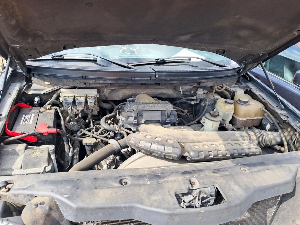 F150 2006 Glove Box 4821964