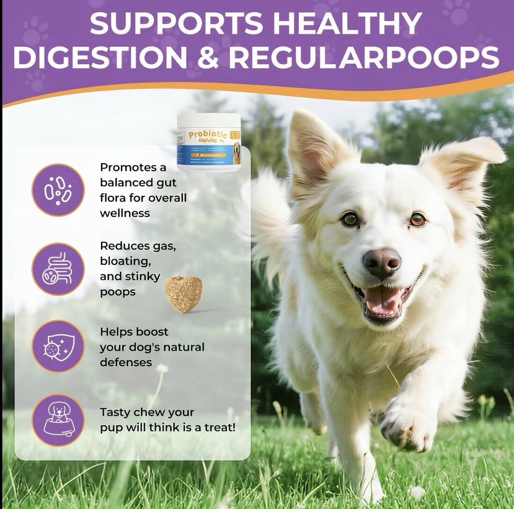 HapWag Probiotic Chewable Tablets for Dogs Digestion Aid 90 Count