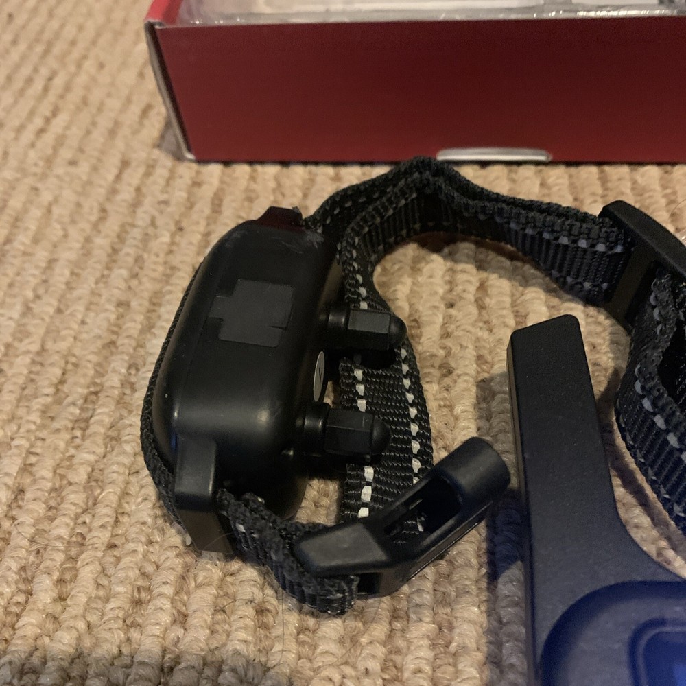 Dog Training Collar with Remote