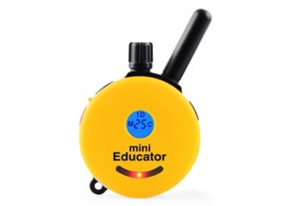 Educator E-Collar Technologies Transmitter for ET-300 Series ONLY- Fast Ship