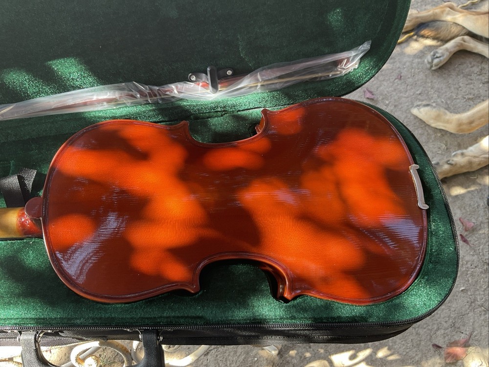 LICO 4/4 VIOLIN VN-01
