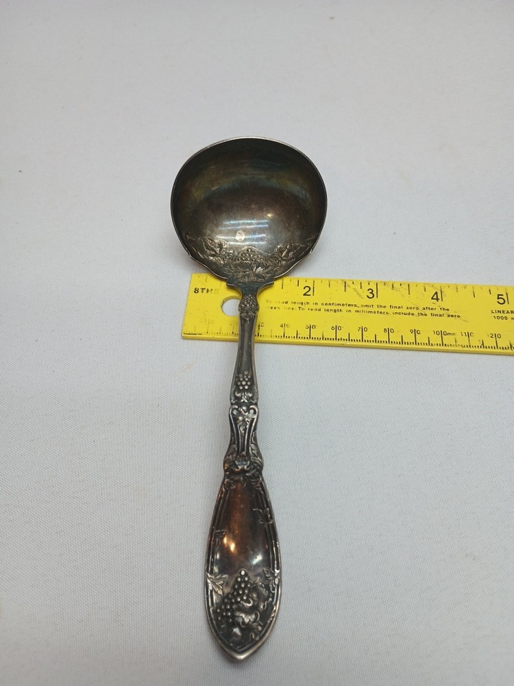 Wm. Rogers & Son IS Grapevine SILVERPLATE Dipping LADLE Spoon