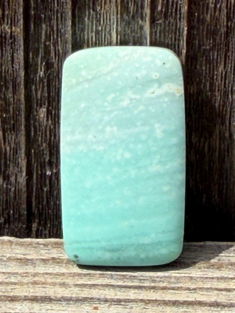 Blue Petrified Opalized Wood Cabochon