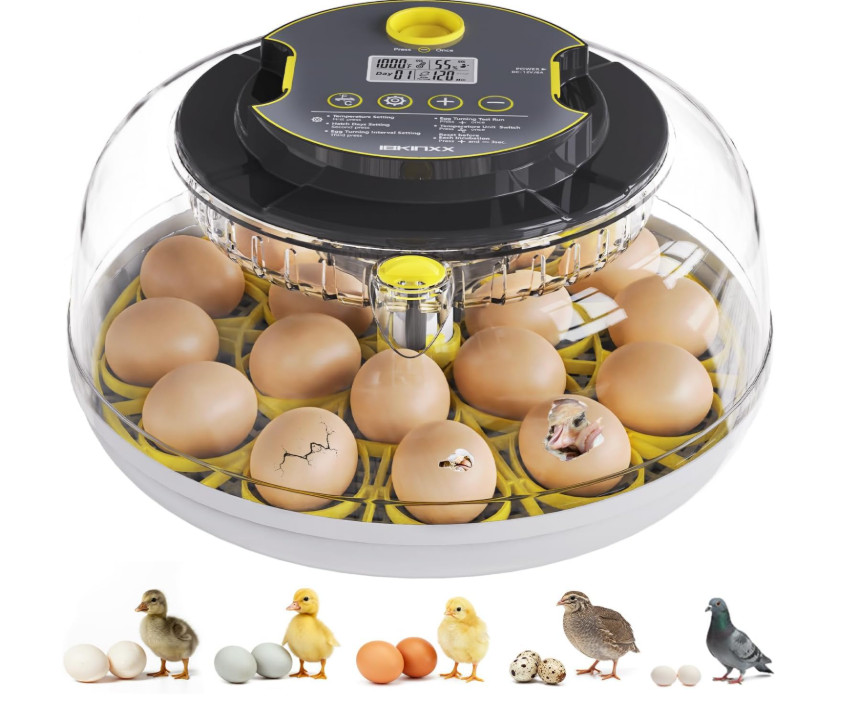 Incubator for Hatching Eggs-18 Egg Capacity, Automatic Egg Turner, Temperature