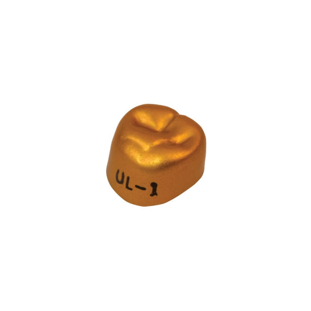 Dexiter Gold Anodized Temporary Crowns (1st Upper Left Molar)