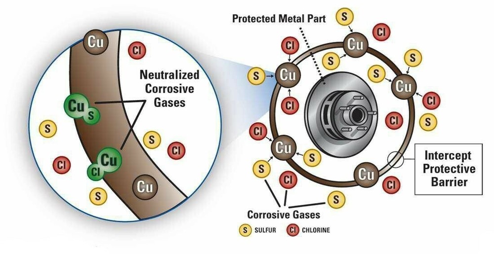 2 Two Lighthouse Intercept Shield Proof Set Boxes Long Term Archival Storage