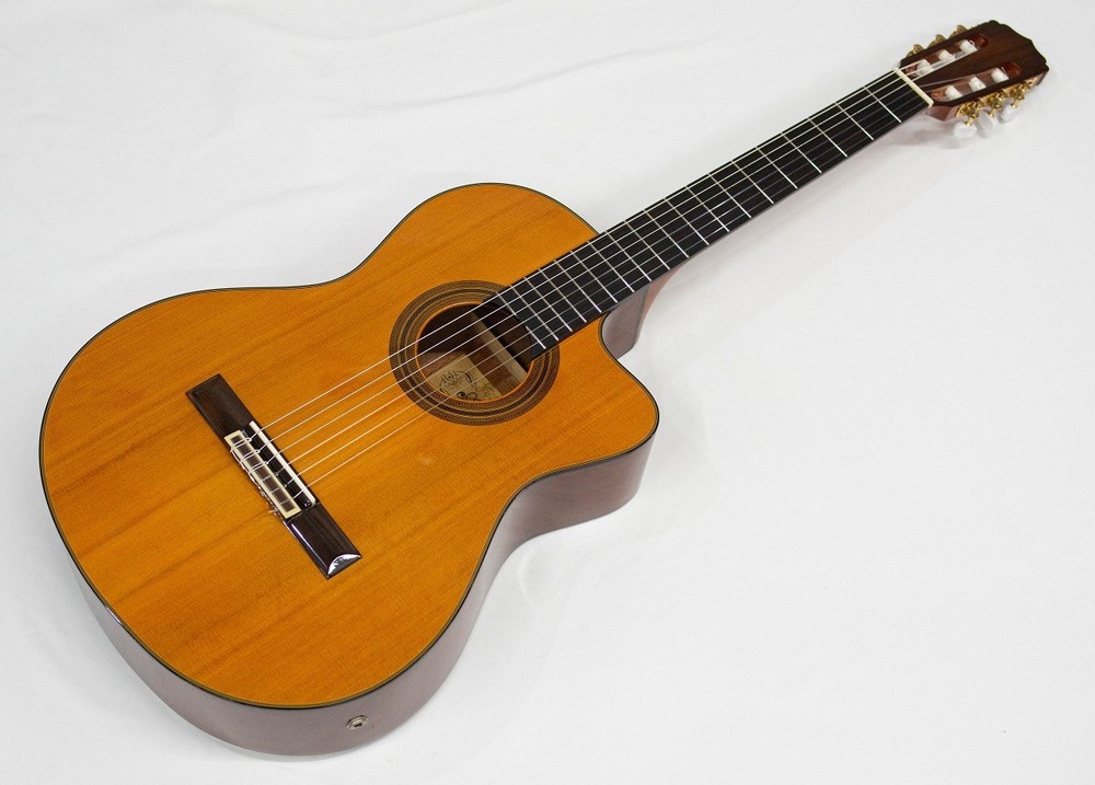 ARIA A-35CE Electro-Classical Guitar with Soft Case, Mahogany & Cedar, B+
