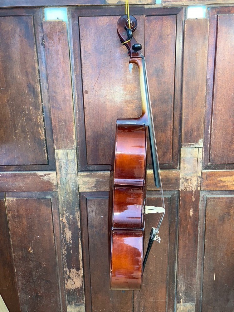 Palatino 3/4 Size Cello with Case and Bow VC-450 Solid Maple and Spruce