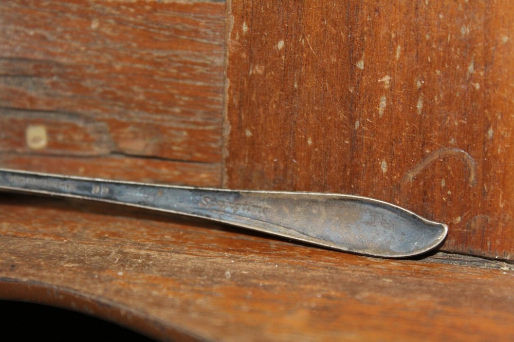 Vintage Tea Spoon Rogers Silver Plate Springtime Pattern