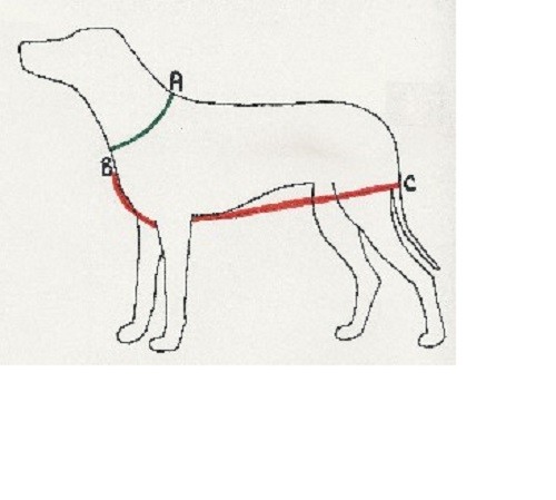 Dog Weight Pull Harness, pull harness, dog pull harness