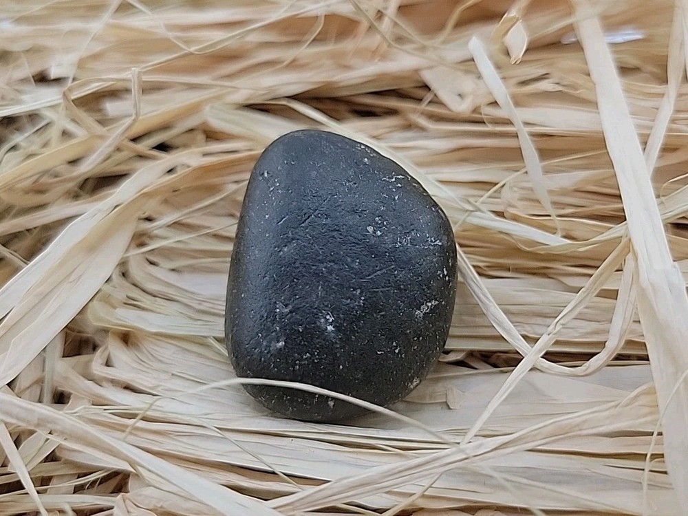 Real Permineralized Reptile Egg Fossil