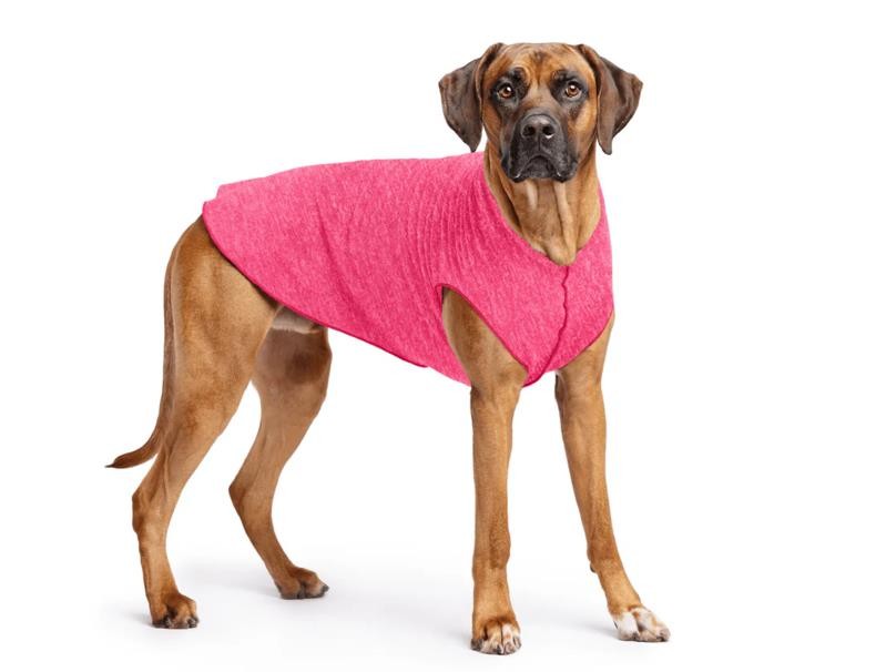 NWT Gold Paw Series Sun Shield Tee