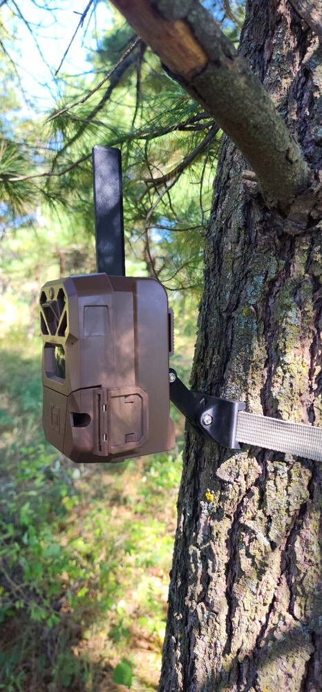 Moultrie Edge Adjustable Trail Camera Tree Mount