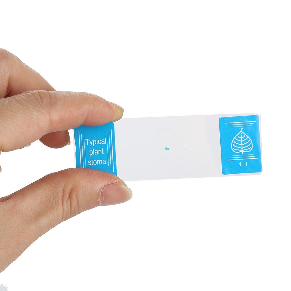 35pcs Biology Glass Prepared Microscope Slides Lab Specimens Set❀