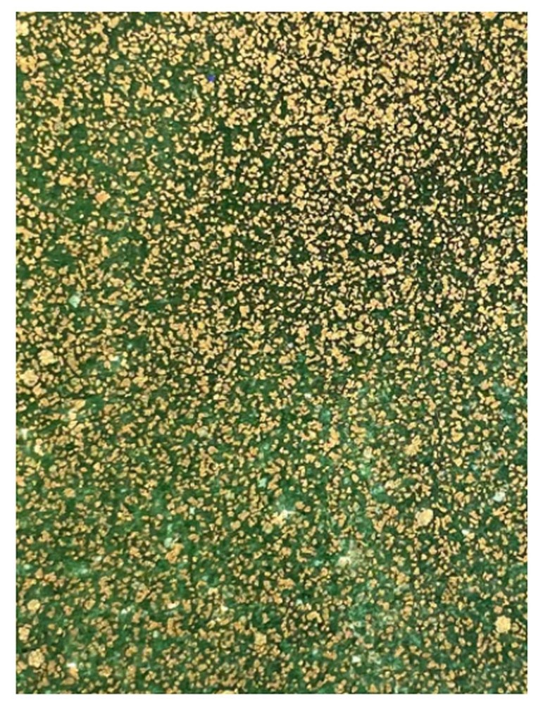 Wow! Glitter Embossing Glitter 15ml | ROYAL EMERALD