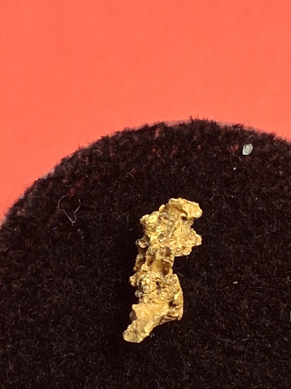 Crystalline Gold Nugget 0.294g from Kansas Twister Paydirt