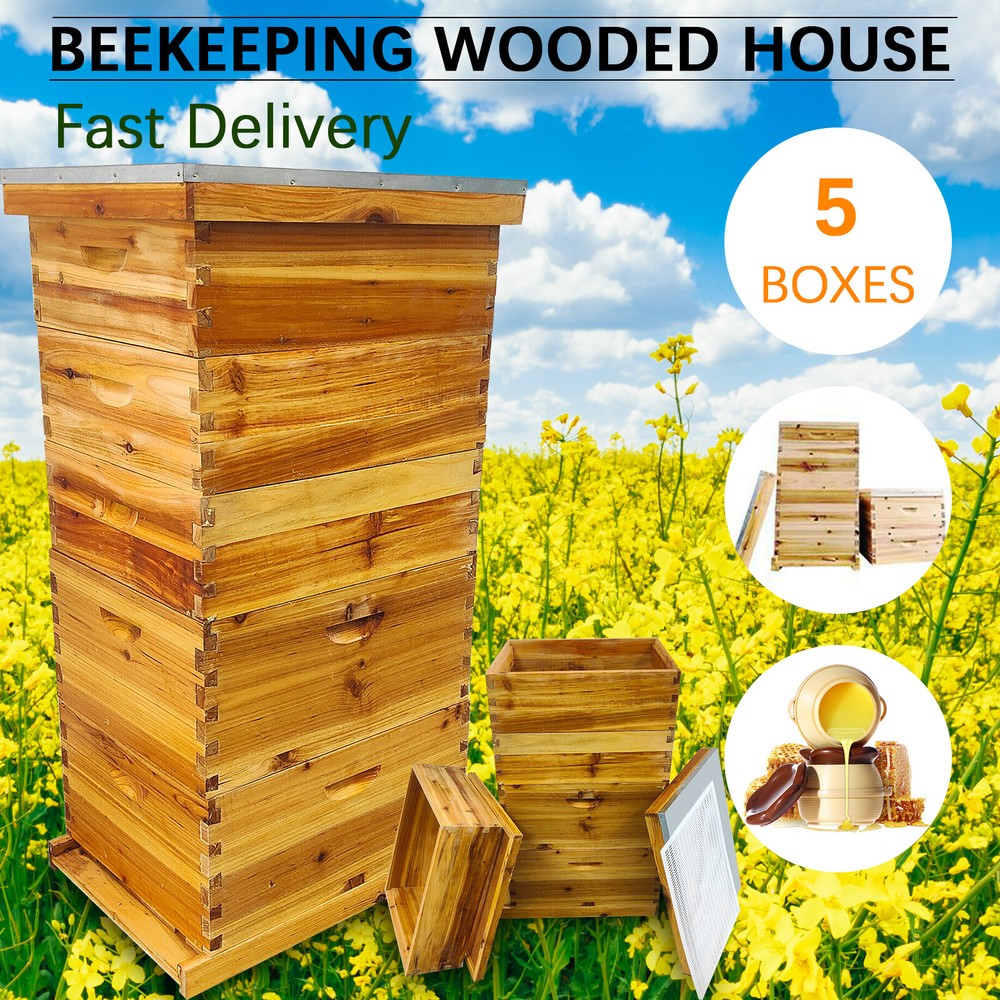 5-Layer Langstroth Bee Hive Beginner-Friendly Beehive Starter Kit