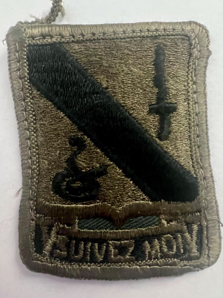 14th Armored Calvary Regiment Subdued US Army Patch