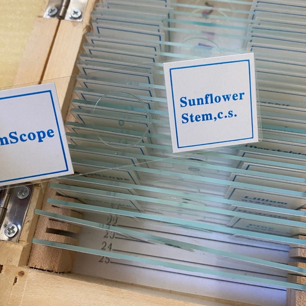 AmScope 25 Piece Set of Prepared Microscope Glass Slide Box