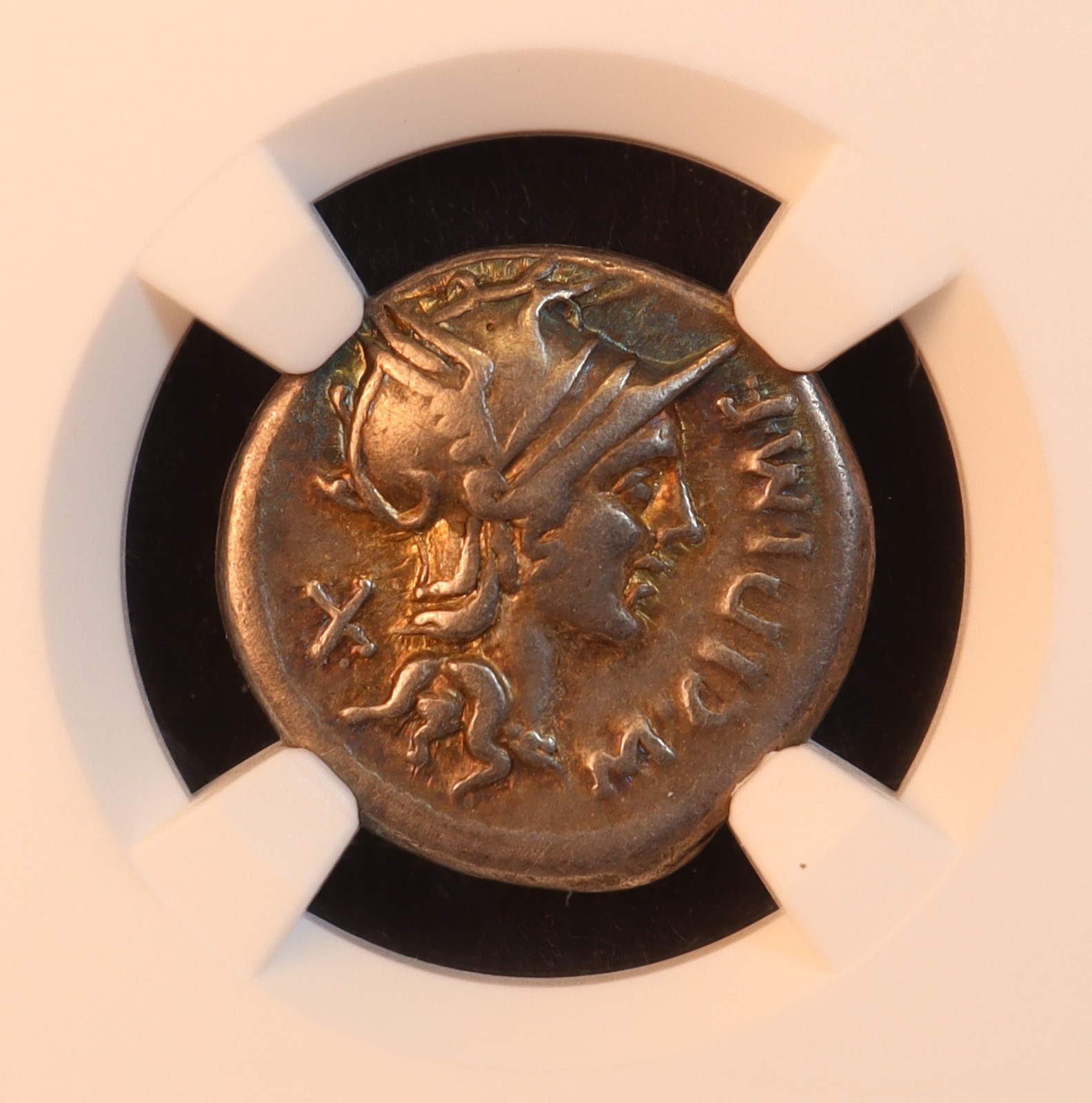 Roman Republic M. Cipius Denarius (115 BC) - NGC VF! Gorgeous & Rare Toning! PQ+