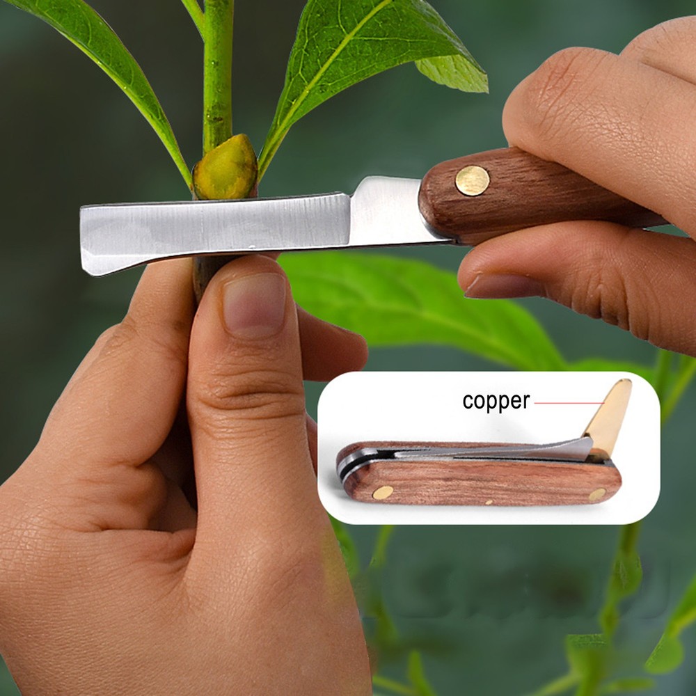 Gardening Tool Grafting Tool Wood Handle Budding Grafting Knife