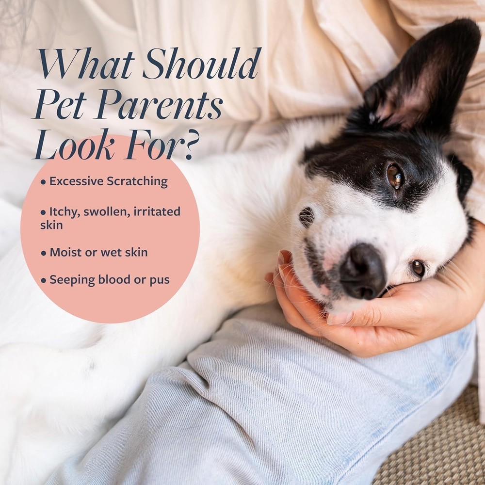 Itch Relief Bundle for Dogs & Cats