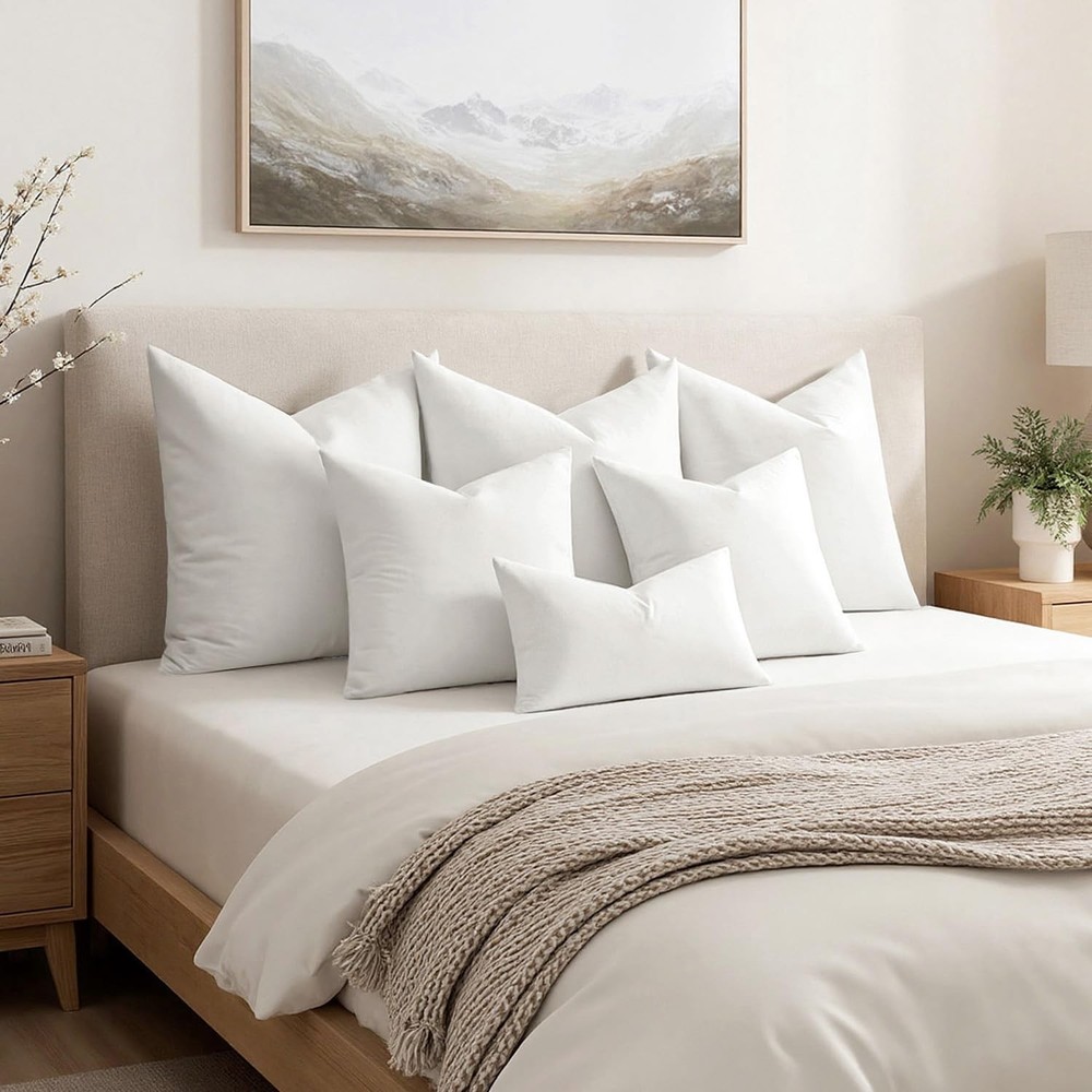 Premium Feather and Down 20x20 Throw Pillow Insert Soft Fluffy Throw Pillow D...