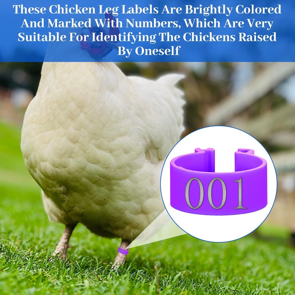 Macuezu 100 PCS Numbered Chicken Bands with Code, Plastic Colorful Chicken Le...