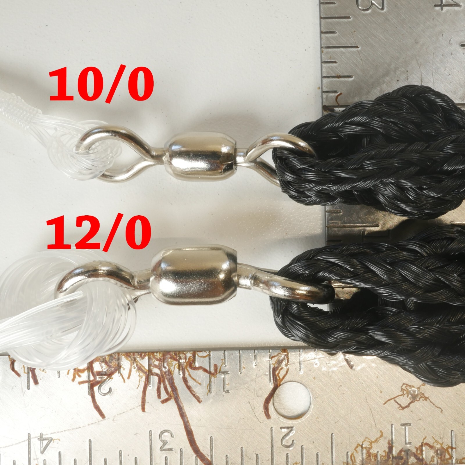 3/16" Mesh Cast Nets. Custom Built For The Florida Keys. Glass Minnows/Pilchards