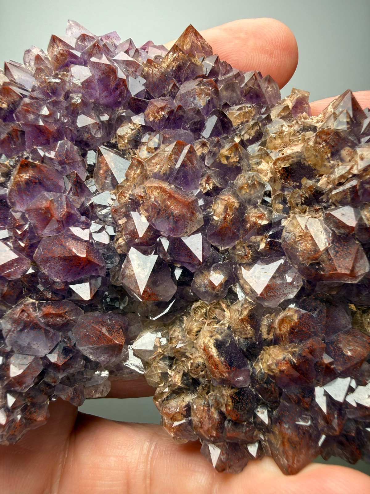 COLLECTORS!! Hematite included Amethyst plate - Blue Point Mine- Thunder Bay, CA