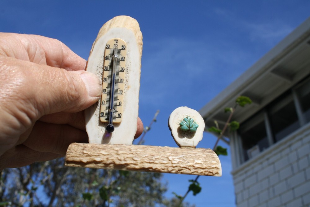 Vintage Antler Bone Thermometer Celsius with Turquoise Leaf