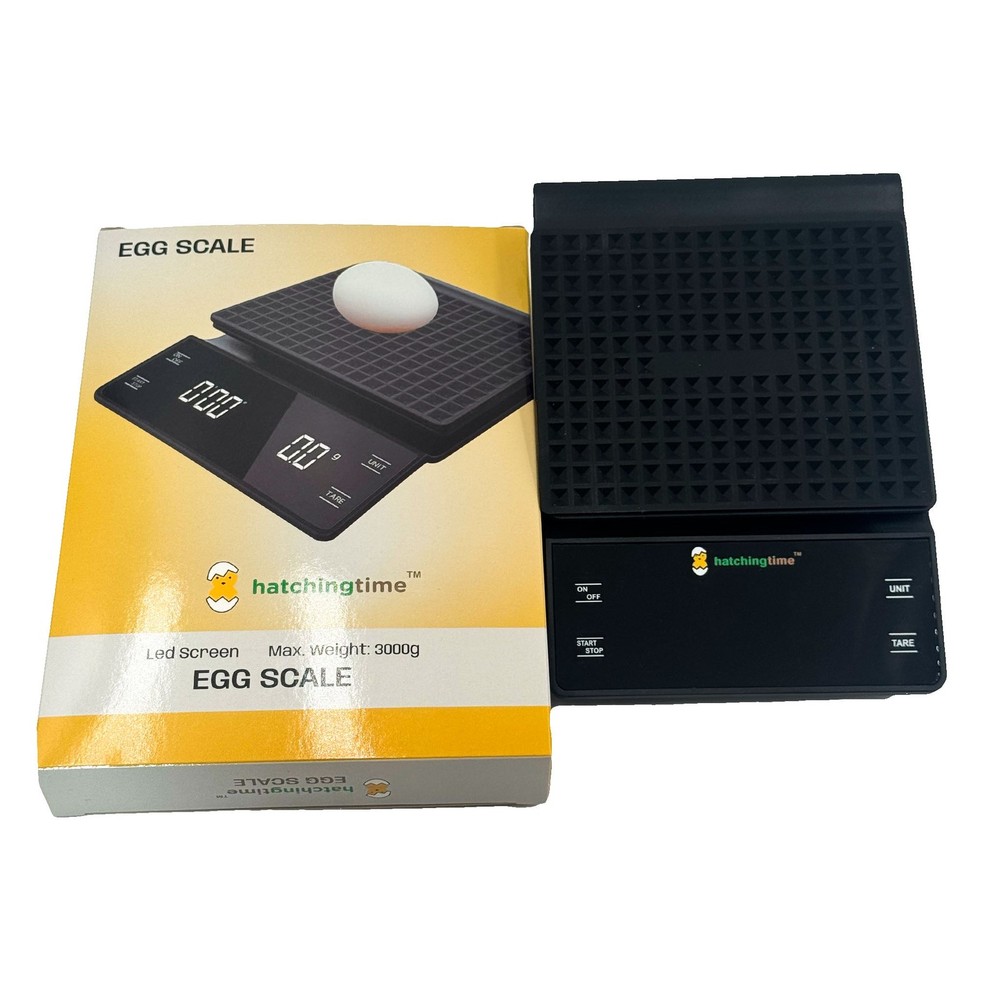 Digital Egg & Kitchen Scale - 6.6 lb Capacity