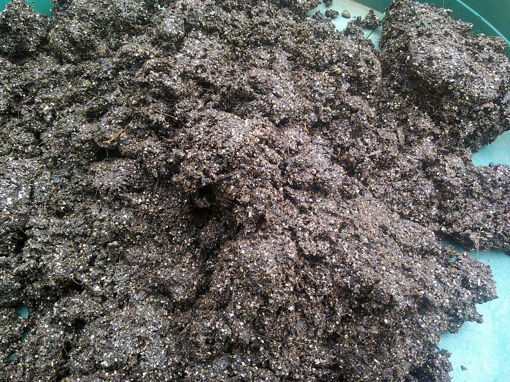 Mushroom Manure Based Substrate 18 lbs Pastureized Free Shipping
