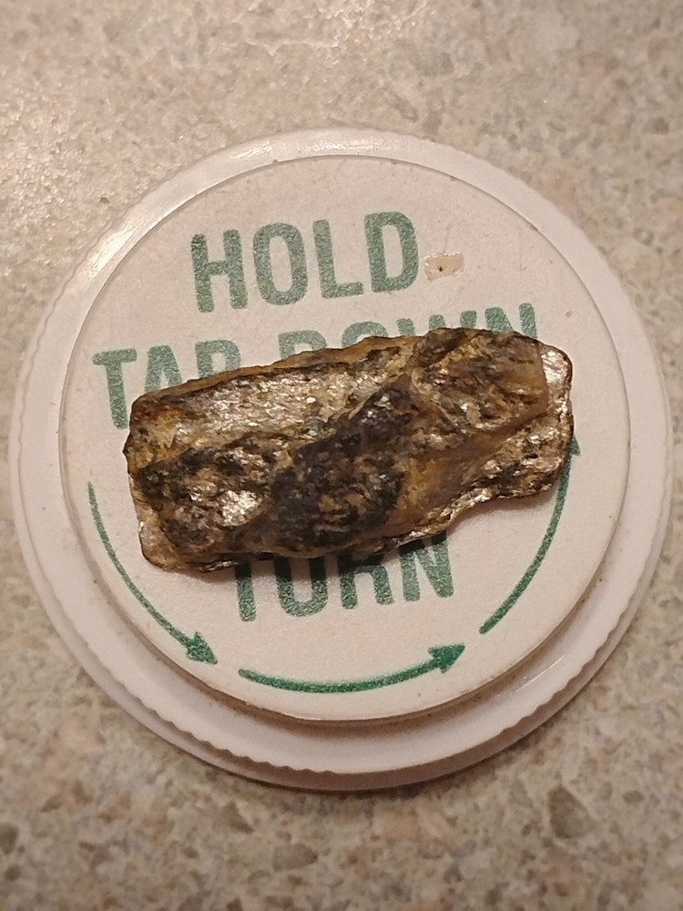 Native Platinum Nugget W/Quartz