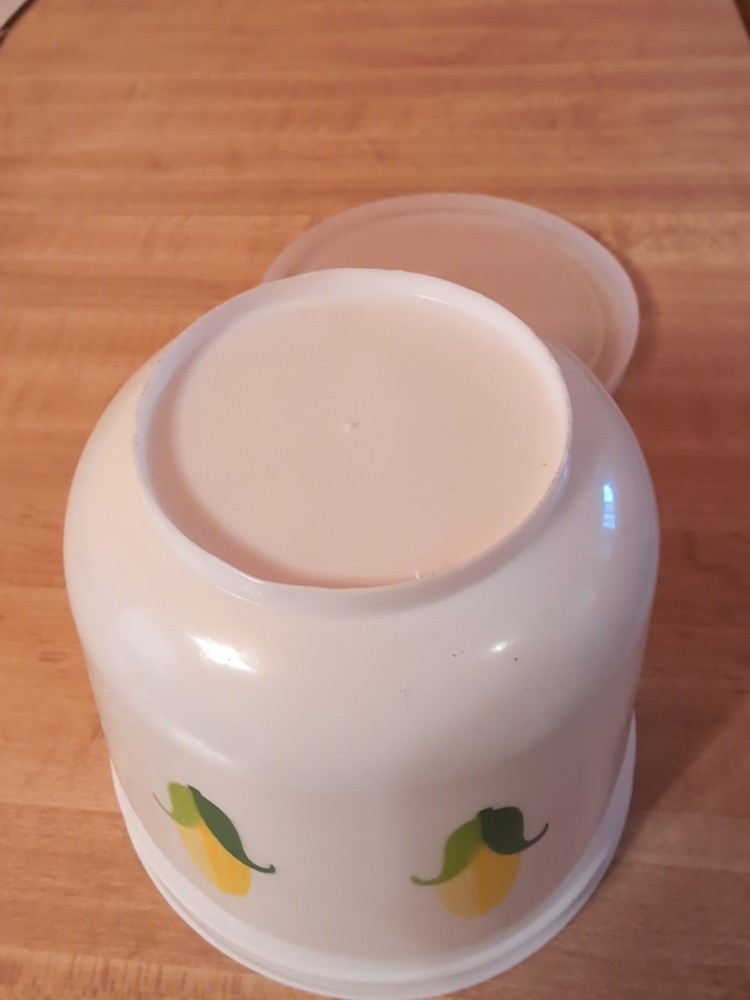 VTG Fleischmann's Margarine Plastic Container Corn Cob Pattern With Lid 4” Tall